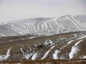 گزارش تصویری از یک روز برفی در شاهرود